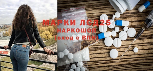 ПСИЛОЦИБИНОВЫЕ ГРИБЫ Заволжье