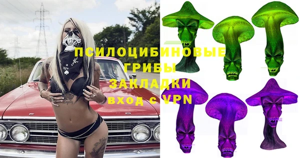 амф Зерноград