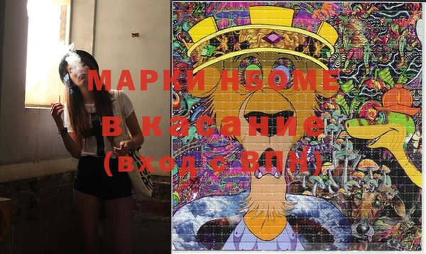 ПСИЛОЦИБИНОВЫЕ ГРИБЫ Заволжье