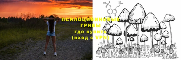 ПСИЛОЦИБИНОВЫЕ ГРИБЫ Заволжье