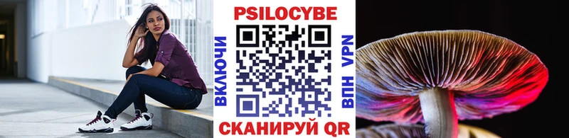 Купить закладки  Армянск  Псилоцибиновые грибы MAGIC MUSHROOMS 
